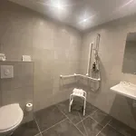 מלון Ibis Budget Centre Millenaire - 2*